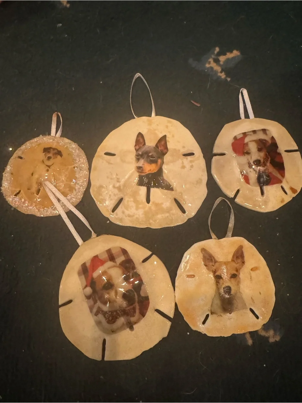 Custom Dog Photo real  Sand Dollar Ornament - Personalized Pet Keepsake (Cream)